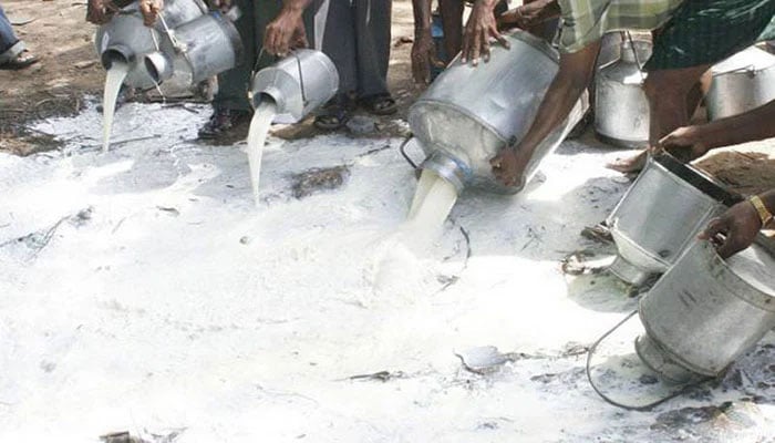 The representational image shows contaminated milk being spilled. — APP/File