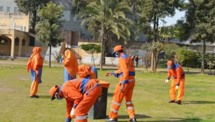 The employees of the Rawalpindi Waste Management Company (RWMC) seen busy in the anti-dengue drive in the city. — APP/File