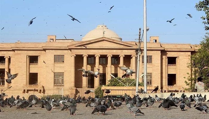 The image shows a lot of pigeons sitting at a roundabout in front of the Sindh High Court. — APP/File