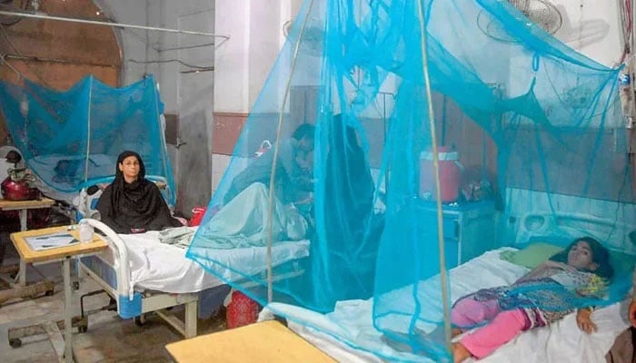 This undated photo shows dengue patients undergoing treatment in a hospital. — AFP/File