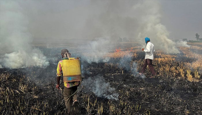 Farmers burn crop stubble in a rice field at a village in Fatehgarh Sahib district in the northern state of Punjab, India, November 4, 2022. — Reuters