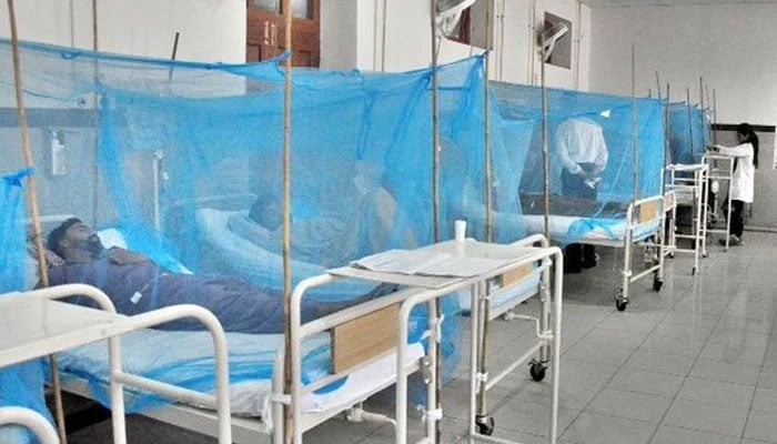 A special dengue ward at a hospital in Pakistan can be seen in this undated photo. — APP/File