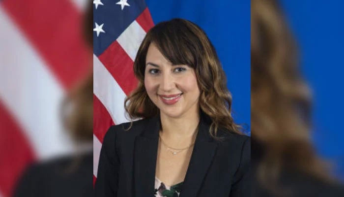 Newly-appointed US Deputy Chief of Mission Natalie Baker. — US Embassy website/File