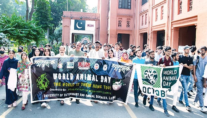 Participants in a walk organised on the World Animal Day on the premises of UVAS. — The News photo