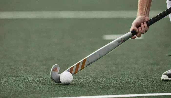 A representational image of a hockey stick and ball. — APP/File