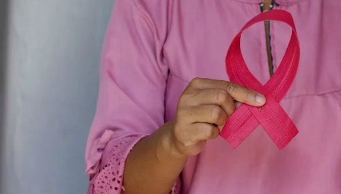 The representational image shows a woman holding a pink ribbon in awareness of Breast Cancer. — Unsplash/File