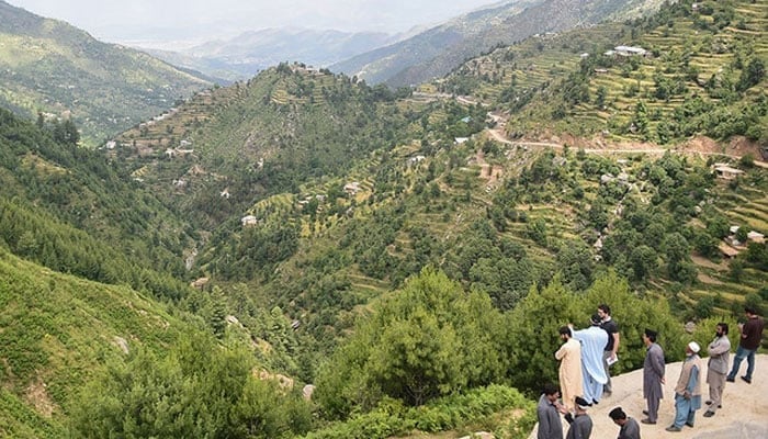 This representational image shows the Swat Valley forests in northern Pakistan. — AFP/File