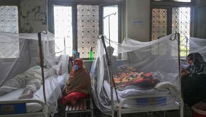 Relatives sit next to patients suffering from dengue fever resting under a mosquito net at a hospital in Pakistan. — AFP/File