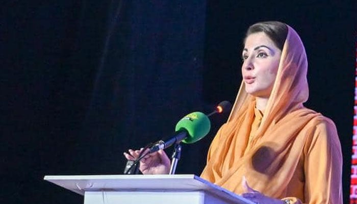 Punjab Chief Minister Maryam Nawaz addresses an event on October 2, 2024. — Facebook/Maryam Nawaz Sharif