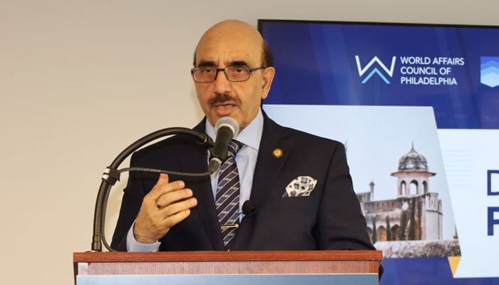 Ambassador Masood Khan addresses an event on June 15, 2024. — X/@Masood__Khan