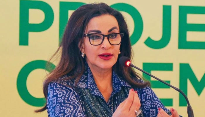 Senator Sherry Rehman speaks during an event on June 28, 2024. — X/@sherryrehman