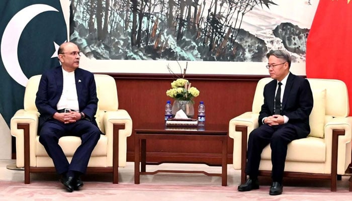 President, Asif Ali Zardari offer condolences to Jiang Zaidong, Chinese Ambassador over the killing of Chinese citizens in a terrorist attack in Karachi, at the Embassy of the Peoples Republic of China in Islamabad on October 10, 2024. — PPI