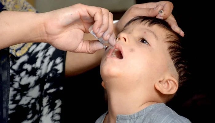 A health worker administers polio drops to a child, as part of the Polio-Free Pakistan drive in Quetta on September 11, 2024. —INP