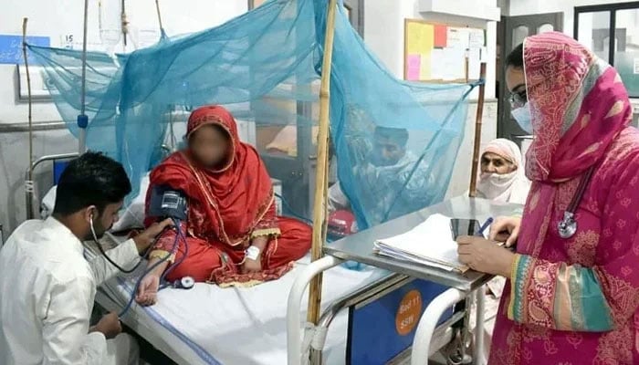 A doctor treats a dengue patient at a hospital in the Provincial Capital on October 8, 2023.— Online