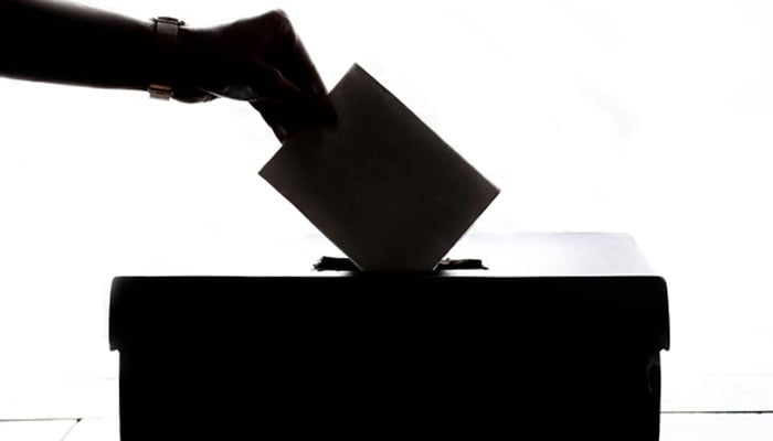 A representational image showing the silhouette of a person casting a ballot. — Pexels/File