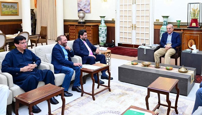 Governor Sindh Kamran Khan Tessori (from left to 3rd) and a delegation of MQM in a meeting with Prime Minister Muhammad Shehbaz Sharif on October 12, 2024. — APP