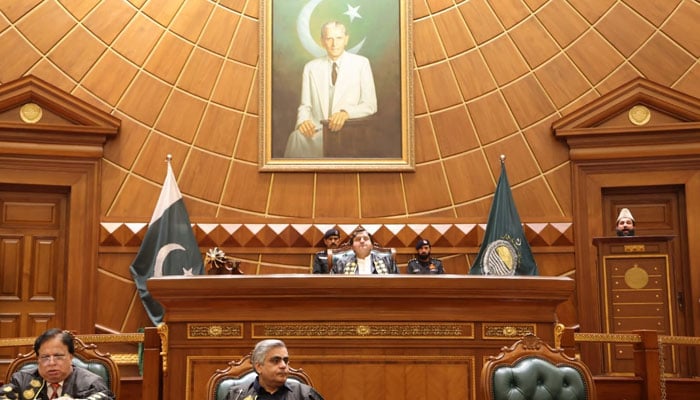 Speaker Punjab Assembly  Malik Muhammad Ahmad Khan chairs the PA session on October 14, 2024. — Facebook/Malik Muhammad Ahmad Khan