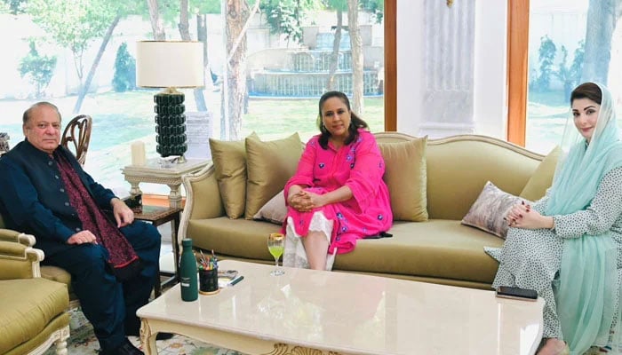 Indian journalist Barkha Dutt (centre) meets PML-N President Nawaz Sharif (left) and Punjab Chief Minister Maryam Nawaz in Lahore on October 14, 2024. —X/@BDUTT