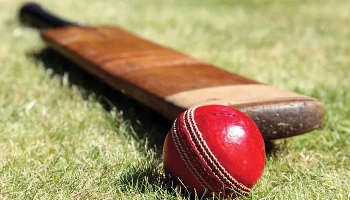 This representational image shows the cricket bat and ball. — APP/File