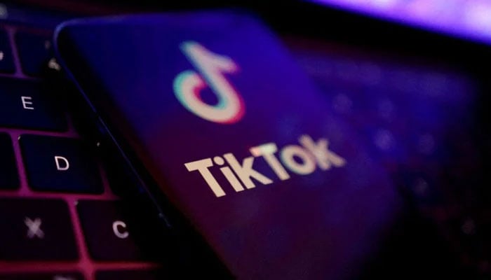 TikTok app logo is seen in this illustration taken on August 22, 2022. — Reuters