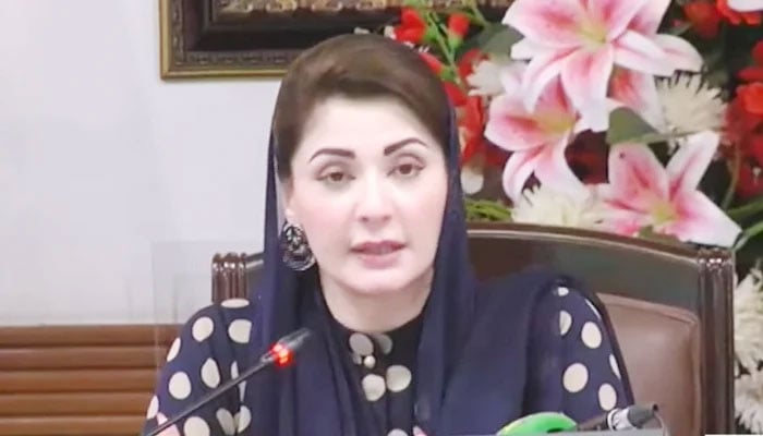 Punjab Chief Minister Maryam Nawaz addressing a press conference in Lahore, on October 16, 2024. — Screengrab/Geo News