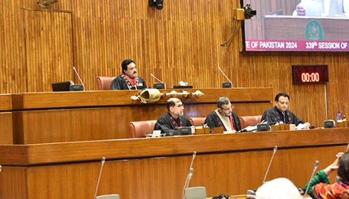 Senate deputy chairman Syedaal Khan Nasar chairs the session on June 24, 2024. — Facebook/@Pakistansenate