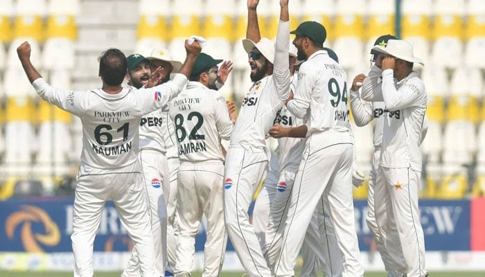 Pakistan team players celebrate during the fourth day of the second Test in Multan, on October 18, 2024. — PCB