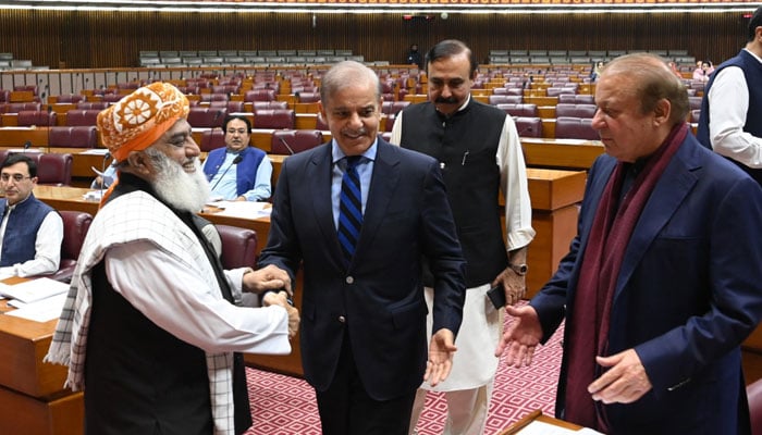 JUI-F chief Maulana Fazlur Rehman interacts with PM Shehbaz Sharif (centre) and PML-N President Nawaz Sharif in the National Assembly on October 21, 2024. — Facebook@NationalAssemblyOfPakistan