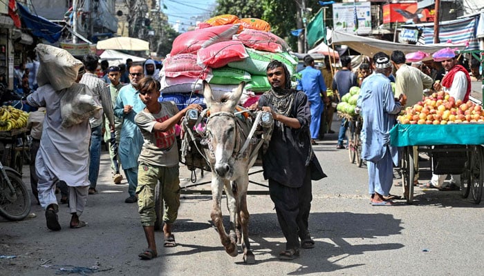 In this photograph taken on October 3, 2024, labourers along with a loaded donkey cart move through a street at a wholesale market in Karachi. — AFP