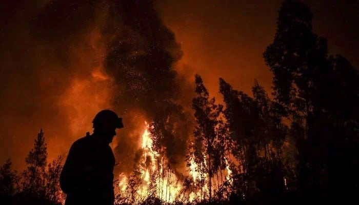 Representational image of a forest fire. — AFP/File