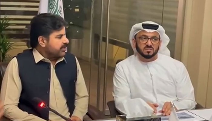 Sindh Energy Minister Syed Nasir Hussain Shah in a meeting with  United Arab Emirates Consul General Bakhit Atiq Al Rumeeti at the Energy Department office on 21 October, 2024. — Facebook@PPP Digital East