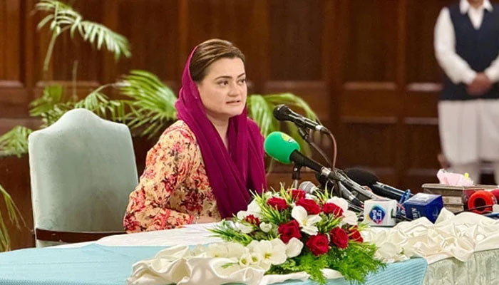 Senior Provincial Minister Punjab Marriyum Aurangzeb speaks to media in this image released on August 5, 2024. — Facebook@MarriyumAurangzebPMLN