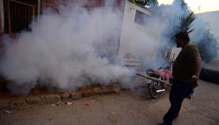 Health workers busy in Dengue spray during a fumigation campaign in Karachi on October 16, 2024. — PPI