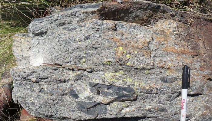 A bed of rock showing chunks of ripped up seafloor as debris from a tsunami that followed a huge meteorite impact on Earth dating back to about 3.26 billion years ago, seen in a region called the Barberton Greenstone Belt in northeastern South Africa in this undated photograph. — Reuters