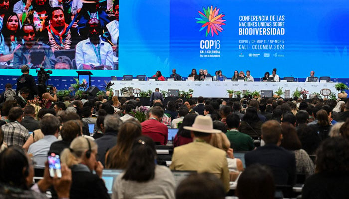 General view of the opening ceremony of the COP16 summit in Cali, Colombia, on October 21, 2024. — AFP