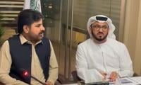 UAE investors show interest in Sindh’s energy sector