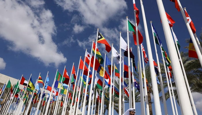 Flags of various countries flutter at Dubais Expo City during the United Nations Climate Change Conference (COP28) Climate Summit in Dubai, United Arab Emirates, November 30, 2023. — Reuters