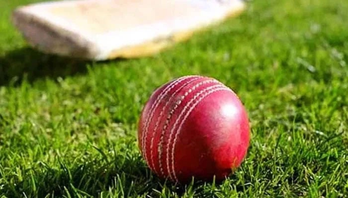 Representational image of a cricket ball with a bat in the background. — AFP/File