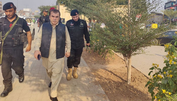 Commissioner Peshawar Division Riaz Khan Mahsud reviews the plantation of palm trees and greenery during his visit to University Road on October 22, 2024. — Facebook@profile.php?id