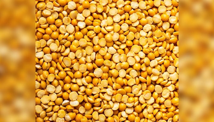 This representational image shows chickpeas lentil (Daal Chana). — Unsplash/File