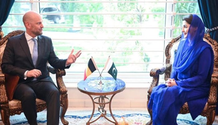 Punjab Chief Minister Maryam Nawaz (right) in a meeting with Ambassador of Belgium to Pakistan Charles Idesbald van der Gracht de Rommerswael on October 25, 2024.— State media