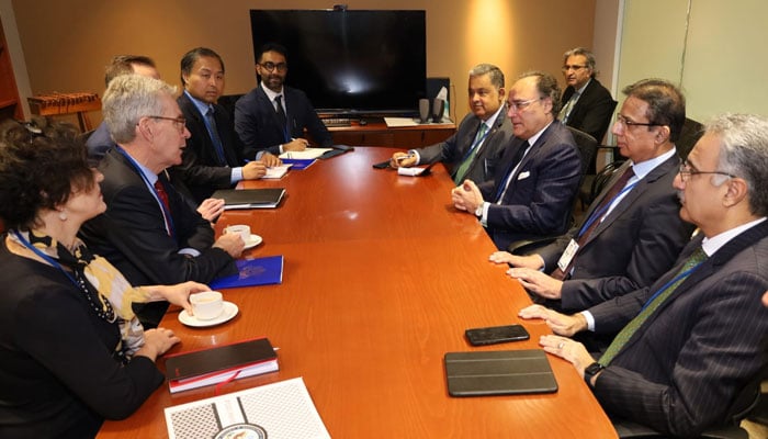 Finance Minister Muhammad Aurangzeb (right) pictured at a meeting with US Assistant Secretary of State for Energy Geoffery Pyatt on October 25, 2024.  —X@Financegovpk