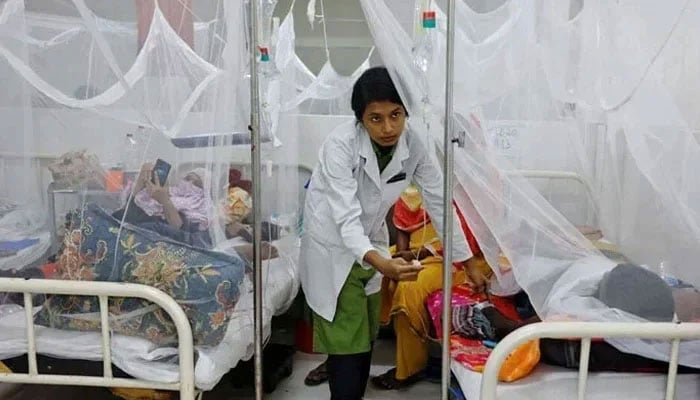 This representational image shows a nurse providing treatment to a dengue-infected patient at a hospital. — Reuters/File