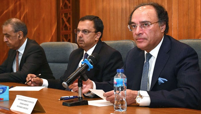 Federal Minister for Finance and Revenue Muhammad Aurangzeb addressing Pakistan Banks Associations Executive Committee at Islamic Chamber of Commerce on July 30, 2024. —APP