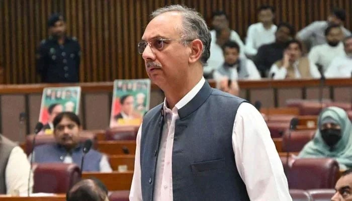 Opposition leader in the National Assembly Omar Ayub Khan speaks on the assembly floor in this undated image. — Facebook/Omar Ayub Khan/File