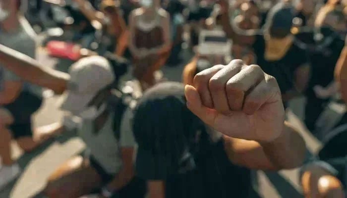 A representational image of a person showing a fist during a protest. — Unsplash/file