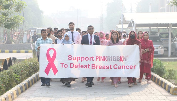 Participants hold a banner during the Pink Ribbon Youth Awareness Programme awareness walk at the University of Education on October 29, 2024. — Facebook@ue.edu.pk.official/