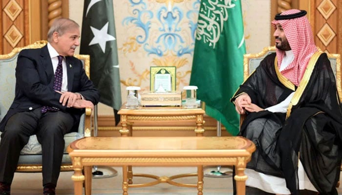 Prime Minister Shehbaz Sharif (left) meets Saudi Arabias Crown Prince Mohammed bin Salman Al-Saud on October 29, 2024. — State media