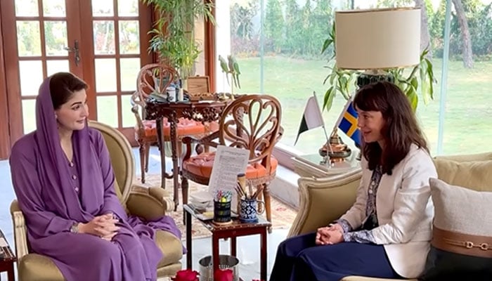 Swedish Ambassador Alexandra Berg von Linde (right) in a meeting with Punjab Chief Minister Maryam Nawaz Sharif in Lahore on Ocotber 29, 2024.— State media