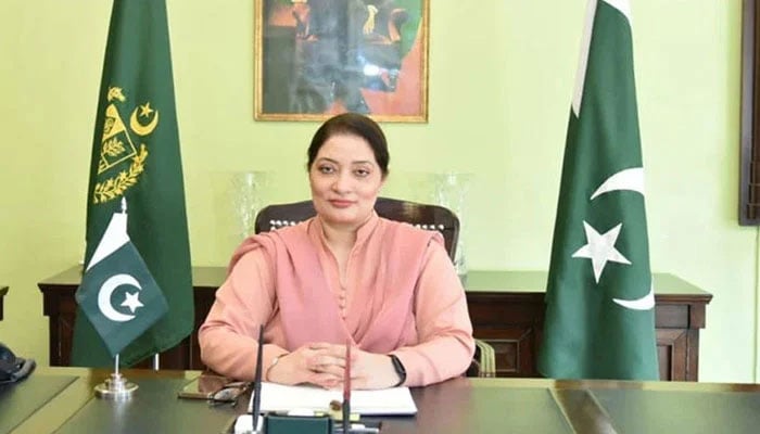 Coordinator to the Prime Minister on Climate Change, Romina Khurshid Alam poses at her office. — State Media/file